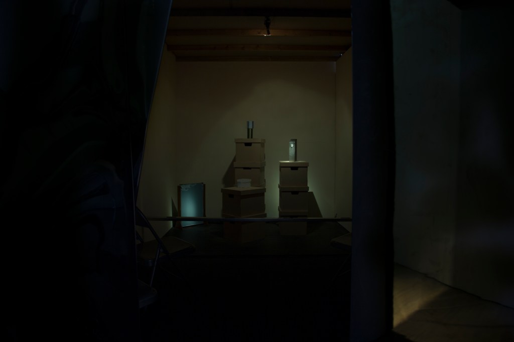 Rotters (Installation view) Malachy Harvey