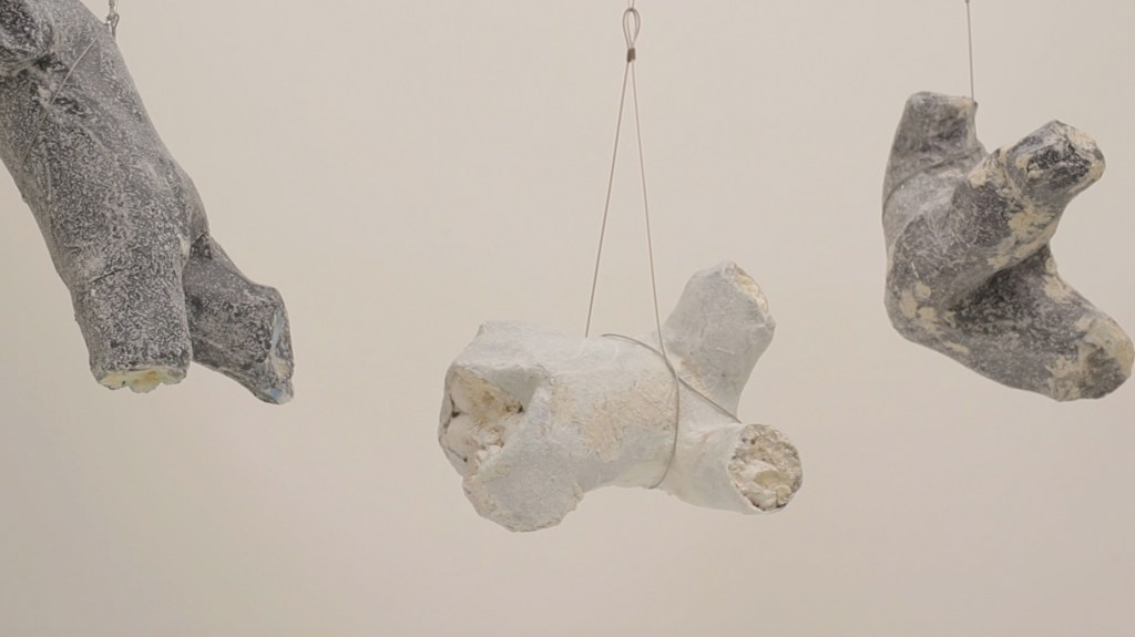 Video Still (Suspended) Can You Touch at That Malachy Harvey